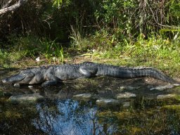 Florida_2007-2008-032